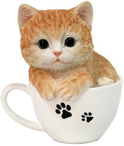 yyVqɒizywVizmΑn LbgI[ig LeB A 14211