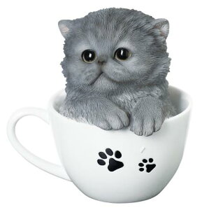 yyVqɒizywVizmΑn LbgI[ig yV 14213