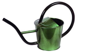 yyVqɒizywVizmΑn W[ O[ 81501