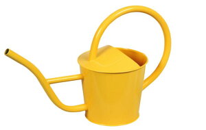 yyVqɒizywVizmΑn W[ CG[ 81502