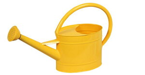 yyVqɒizywVizmΑn W[ CG[ 81512