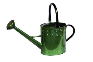 yyVqɒizywVizmΑn W[ O[ 81516