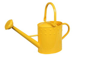 yyVqɒizywVizmΑn W[ CG[ 81517