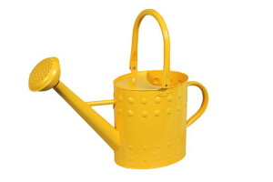 yyVqɒizywVizmΑn W[ CG[ 81522