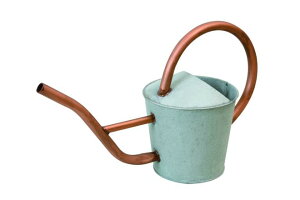 yyVqɒizywVizmΑn W[ AGED 81504