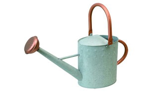 yyVqɒizywVizmΑn W[ AGED 81519