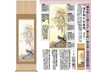 �y�w���V���i �z�J�^�|�� ���Г�V�����} �v�䒼�ƕM K9955