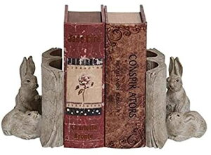 yyVqɒizmΑn ubNGh  11037ywViz CeA  u IuWF { ubNX^h