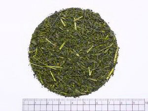 [ rdグ 1000gysAԕiLZsiz