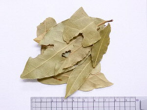 ���[���� 1000g�y�����s�A�ԕi�L�����Z���s�i�z