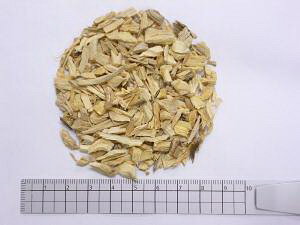 G]ERM 1000gysAԕiLZsiz