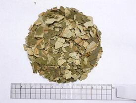 蓮の葉茶 1000g【割引不可、返品キャンセル不可品】