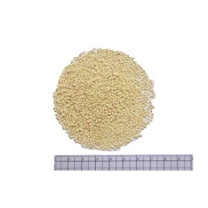 ђ 1000gysAԕiLZsiz