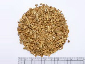 ڂ 1000gysAԕiLZsiz