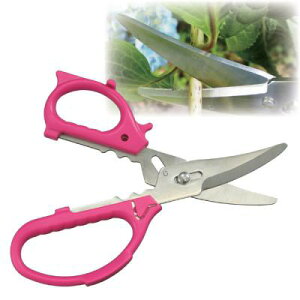 ԐؐpnT~ Ԑ؂ꂸysiz K[fjO | p ͂ Ԑؐp ؂ nT~