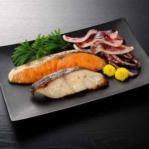 yzykCꗣszЂؐgl FywViz Hi YHi Ђؐg Ђ Ђ ÖXЂ Zbg