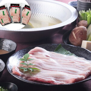 yzykCꗣszY؎gp oԂԗpXCX E(500g×3)ywViz Hi ؓ Y o Ԃԗp XCXyMtgΉz
