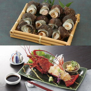 yzykCꗣsz VRɐCVƓVRTUGlywViz Hi Yi VR ɐCV TUG ZbgyMtgΉz