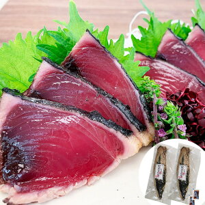 yzykCꗣszÉ ̍ywViz Hi Yi   yMtgΉz