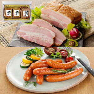 yzykCꗣszɉ̗ nx[R nECi[ l JS-60ywViz Hi ؓ|[N nx[R nECi[ Zbg