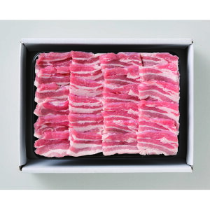 yzykCꗣsz|[N oēp 400gywViz Hi ؓ o |[N ēp