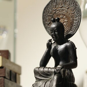 yiE労ӉizTanaCOCORO F摜 tc3501 ԕiLZAs