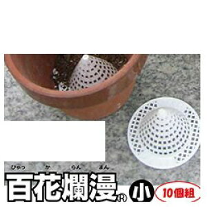 Sࣖ  10g yyVqɒz K[fjO A h~ lbg | v^[ Sࣖ  10g