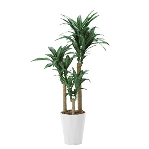 【直送品】【北海道沖縄離島不可】光の楽園 幸福の木 1.6m【割引不可品】【返品キャンセル不可】 インテリア 人工観葉植物 造花 インテリアグリーン 室内空間 部屋 装飾 消臭 抗菌 光触媒