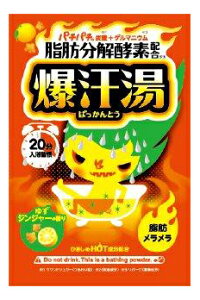 y96Zbgz 䂸WW[̍ 60gx96ZbgywVizyԕiLZsz ϕi oXpi  Q}jEz