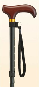  D|1ByyVqɒz pi ړ sx XebL  VR A~ ܂肽݃^Cv