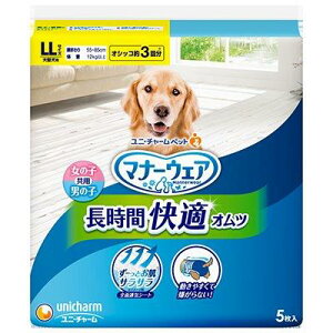 yizy10Zbgz}i[EFA p ybgpIc LL 5x10ZbgywViz ybgObY pi gCpi }i[pc