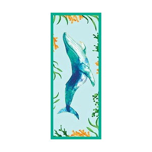 lagu r[`uPbg Ȃ W[V[g s^hX Pintados UgENW HumpbackyyVqɒz Ȃ r[`}bg W[V[g O C uPbg V[g y