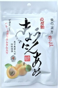 【直送品】【240個セット】きょうにんあめ 42gx240個セット【ヘルシ価格】 食品 スイーツ お菓子 あめ キャンディ のど飴