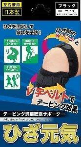 yyVqɒhzЂCubN M 1ywViz NObY T|[^[ Gp ی Œ e[sO