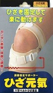 yyVqɒhzЂCx[W L 1ywViz NObY T|[^[ Gp ی Œ e[sO