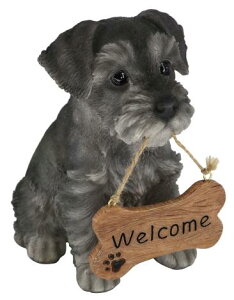 yyVqɒizmΑn hbOI[ig ViEU[ WelcomeTC 14236ysiz CeA  u IuWF I[ig