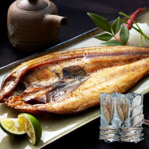 yizkCY 銱l iق×2Aꂢ×3APL×6j ق ꂢ PL 銱