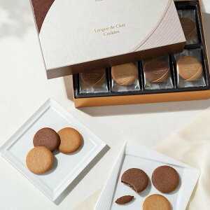 yizSfBo OhVNbL[A\[gg 52 Hi XC[c َq Mtg v[g