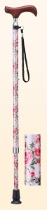 XlbNLk E-252AyyVqɒhz XebL Lk XlbN ڒnʑ傫ȐS ₷ɂ ߉\