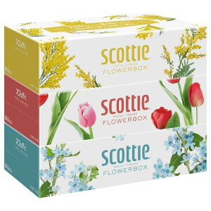 yizy18ZbgzXRbeB eBV[ t[{bNX 500i250gj×3x18Zbg scottie e eBV[