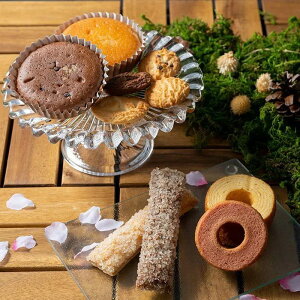 yizX̒ X̏Ăَq 萁 16ysiz XC[c َq Ăَq