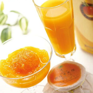 yizD }S[hN܂邲Ƃ݂񂺂股 Hi XC[c َq hN Mtg v[g