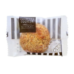 yizy10Zbgz[Jg[t@[ TNTNI[g~[NbL[iI[cjx10Zbgysiz XC[c َq NbL[ j Mtg oYj Ԃ j