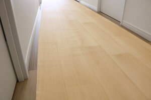 ペット用廊下敷シート BE 80cmx400cm PRO-0240【楽天倉庫直送h】 ペット用品 犬 猫 廊下敷き シート 防滑 消臭 防水