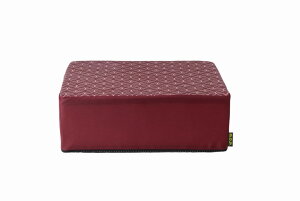 ɂ₳NbV GW zc NbV pPA ɂ  Ђ Sy ̈U y ~