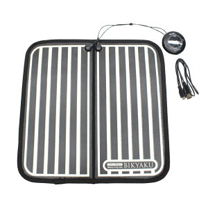 EMSLIMMER BIKYAKUipEMSj ES-BK001 _CGbg pEMS