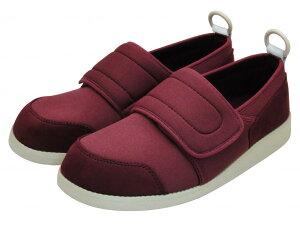 yizAXeBR炳\tg05@Chi5EjC24.0 E23.0yʓr͘A܂ALZԕisz