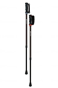 yizVim񂵂2{ubN-650193yʓr͘A܂ALZԕisz