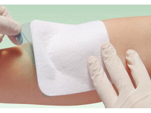 yizAPAGXACGChi5j-1118755yʓr͘A܂ALZԕisz