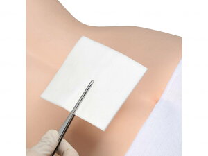 yizAPAf}GChi100j-411983yʓr͘A܂ALZԕisz